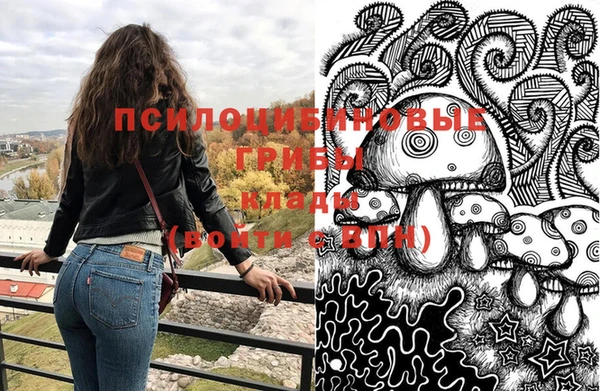 молекула духа Нея