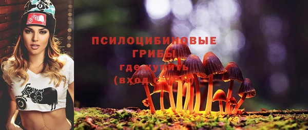 молекула духа Нея